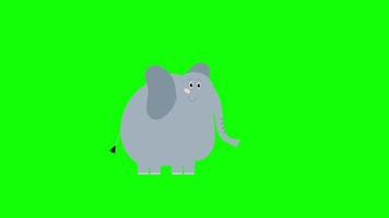 Karikatur Elefant Symbol Schleife Animation Video transparent Hintergrund mit Alpha Kanal.