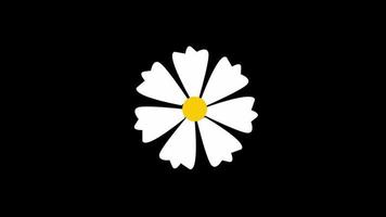 Blume blühen Symbol Schleife Animation Video transparent Hintergrund mit Alpha Kanal