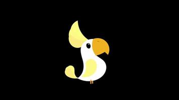 desenho animado papagaio pássaro animal ícone ciclo animação vídeo transparente fundo com alfa canal. video