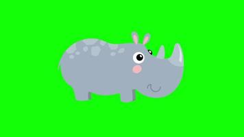 cartoon rhino animal icon loop Animation video transparent background with alpha channel.