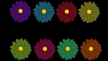 fiore fiorire icona ciclo continuo animazione video trasparente sfondo con alfa canale