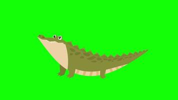 tekenfilm krokodil icoon lus animatie video transparant achtergrond met alpha kanaal.