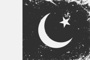 Grunge styled black and white flag Pakistan. Old vintage backgro vector