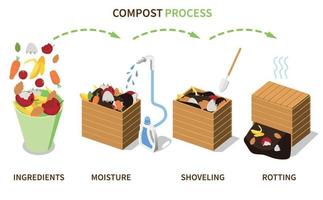 compostaje cajas proceso infografia vector