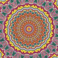 A colorful mandala with a pattern of leaves vector