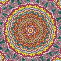 A colorful mandala with a pattern of leaves vector