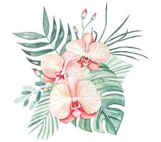 Bouquet with pink orchids and tropical leaves. Watercolor on isolated background vector