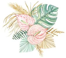 Anthurium flowers, tropical leaves ,dried flowers. Hand drawn watercolor on isolated background. vector