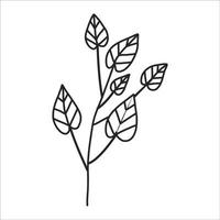 Black silhouette of a plant branch. Flower branch in outline style hand drawn on isolated white background. Vector stock illustration. Tropical leaves. Minimal line art for print, cover or tattoo.