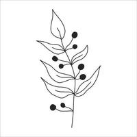 Black silhouette of a plant branch. Flower branch in outline style hand drawn on isolated white background. Vector stock illustration. Tropical leaves. Minimal line art for print, cover or tattoo.