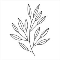 Black silhouette of a plant branch. Flower branch in outline style hand drawn on isolated white background. Vector stock illustration. Tropical leaves. Minimal line art for print, cover or tattoo.