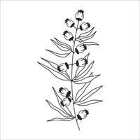 Black silhouette of a plant branch. Flower branch in outline style hand drawn on isolated white background. Vector stock illustration. Tropical leaves. Minimal line art for print, cover or tattoo.
