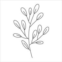 Black silhouette of a plant branch. Flower branch in outline style hand drawn on isolated white background. Vector stock illustration. Tropical leaves. Minimal line art for print, cover or tattoo.