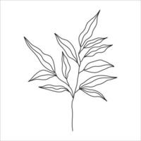 Black silhouette of a plant branch. Flower branch in outline style hand drawn on isolated white background. Vector stock illustration. Tropical leaves. Minimal line art for print, cover or tattoo.