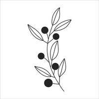 Black silhouette of a plant branch. Flower branch in outline style hand drawn on isolated white background. Vector stock illustration. Tropical leaves. Minimal line art for print, cover or tattoo.