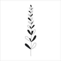 Black silhouette of a plant branch. Flower branch in outline style hand drawn on isolated white background. Vector stock illustration. Tropical leaves. Minimal line art for print, cover or tattoo.