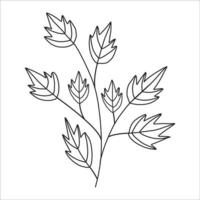 Black silhouette of a plant branch. Flower branch in outline style hand drawn on isolated white background. Vector stock illustration. Tropical leaves. Minimal line art for print, cover or tattoo.