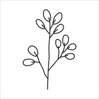 Black silhouette of a plant branch. Flower branch in outline style hand drawn on isolated white background. Vector stock illustration. Tropical leaves. Minimal line art for print, cover or tattoo.