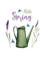 Hello Spring banner with garden watering can, lavender painted in watercolor. vector