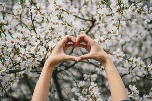 hand is holding spring flowers. flowers and hand close-up view photo