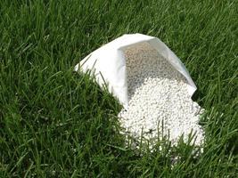 Fertilizer for grass, lawn, meadow in a bag of white granules on a background of green grass. Close up of mineral fertilizer granules used on grass lawns and gardens to maintain health and growth. photo