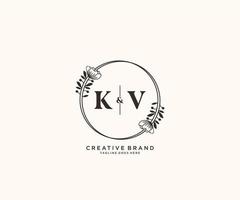 initial KV letters hand drawn feminine and floral botanical logo suitable for spa salon skin hair beauty boutique and cosmetic company. vector