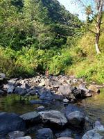 River Water Stream in Rain Forest. photo