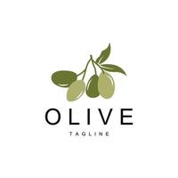 Olive Logo, Olive Oil Plant Vector, Natural Herbal Health Medicine Design, Illustration Template Icon vector