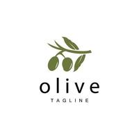 Olive Logo, Olive Oil Plant Vector, Natural Herbal Health Medicine Design, Illustration Template Icon vector