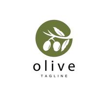 Olive Logo, Olive Oil Plant Vector, Natural Herbal Health Medicine Design, Illustration Template Icon vector