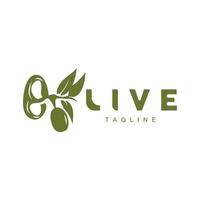 Olive Logo, Olive Oil Plant Vector, Natural Herbal Health Medicine Design, Illustration Template Icon vector