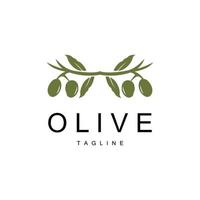 Olive Logo, Olive Oil Plant Vector, Natural Herbal Health Medicine Design, Illustration Template Icon vector