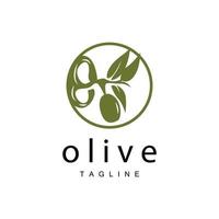 Olive Logo, Olive Oil Plant Vector, Natural Herbal Health Medicine Design, Illustration Template Icon vector