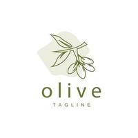 Olive Logo, Olive Oil Plant Vector, Natural Herbal Health Medicine Design, Illustration Template Icon vector