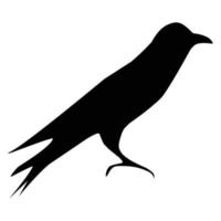 Silhouette of a black raven. Vector black white illustration