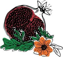Sketch style sliced pomegranate with leaves and flowers black on white background vector
