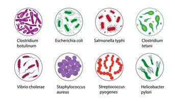 malo bacterias conjunto aislado en blanco antecedentes. microorganismos vector ilustración.