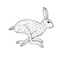 Vector hand drawn sketch doodle hare