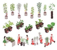 Isometric Nursery Garden Set vector