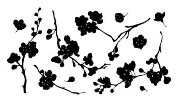 Cherry or apple blossom branches black silhouette set on white background. Hand drawn vector design elements. Monochrome spring blooming tree branches with flowers collection.