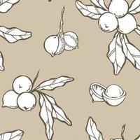 Macadamia seamless pattern. Nuts, seeds, branch and leaves drawing on beige background. Vector illustration.