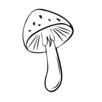 Hand-drawn mushroom. Vector illustration in the style of a doodle