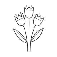 Tulip spring flower vector doodle illustration.