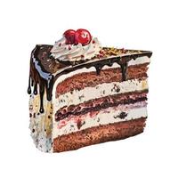 Watercolor black forest cake vector