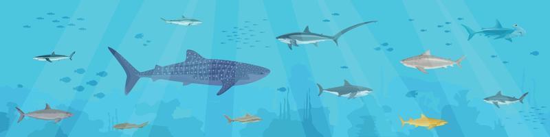 Underwater Fishes Flat Composition vector