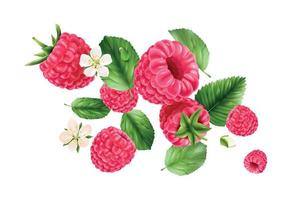 Flying Raspberry Realistic Composition vector