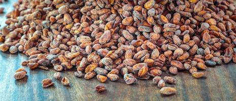 Aromatic brown Cocoa beans and cocoa seed on the cocoa concept with raw materials of Chocolat as background photo