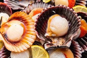 fresh scallop shell seafood meal snack on the table copy space food background rustic top view photo