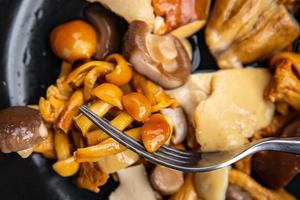 mushroom salad mix appetizer white mushroom, boletus mushroom, chanterelle mushroom, ready to eat healthy meal food snack on the table copy space food background rustic top view photo