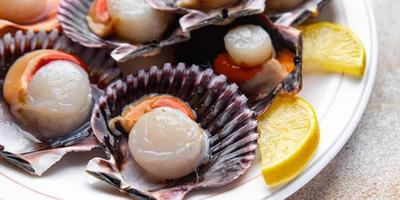 fresh scallop shell seafood meal snack on the table copy space food background rustic top view photo